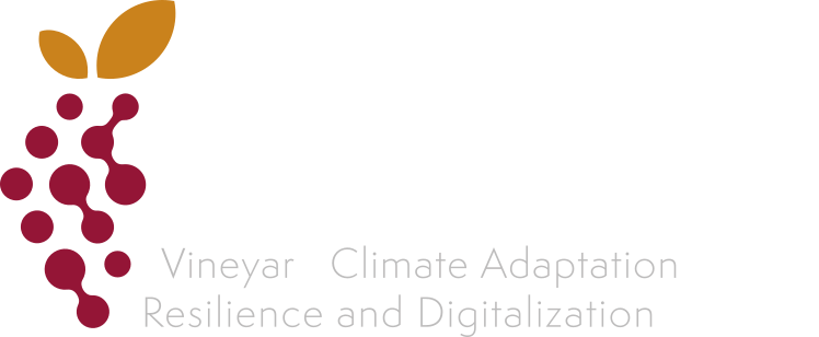 VineCARD | Backoffice